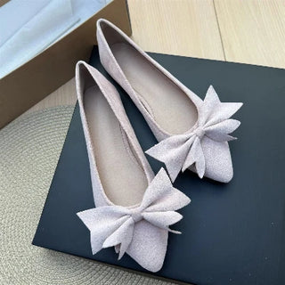 Ladies Pointed Toe Ballet Flat Shoes