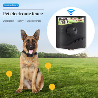 Electronic Pet Fence Training Collar System