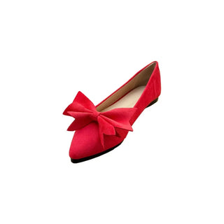 Ladies Pointed Toe Ballet Flat Shoes
