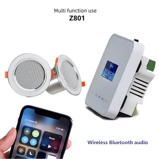 Home Theater Stereo Ceiling Sound System