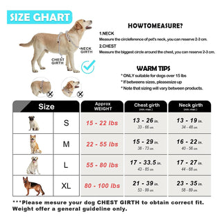 Dog Harness and Leash Combo, Escape Proof No Pull Vest Harness, with 5 Feet Leash, Reflective Adjustable Soft Padded Pet Harness