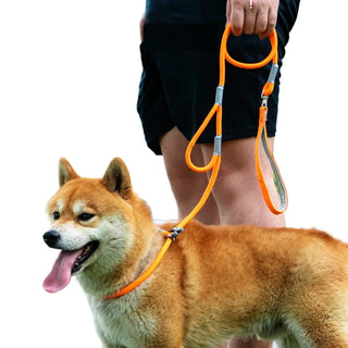 Slip Chains Pet Training Leash