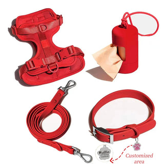 Personalized Pet Leash Pet Harness