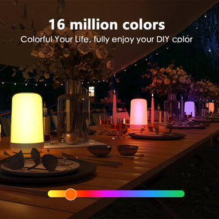 Smart Color Changing Touch Lamp