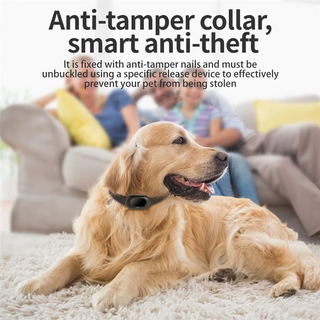 Anti Loss Mini Pet Tracker