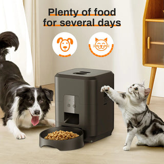 Timely Automatic Pet Feeder - Epictzar Intl.