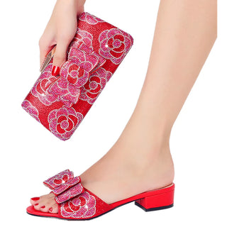 Italy Design Shoe Bag Set