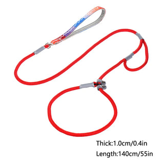 Slip Chains Pet Training Leash