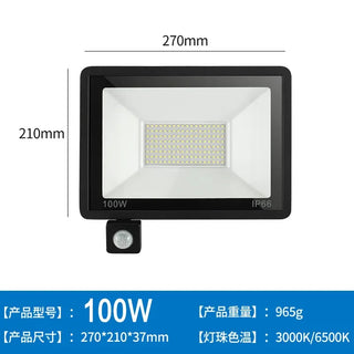 Exterior Hanging Spotlight Wall Lamp