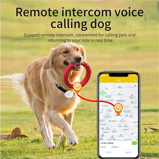 RC GPS Locator Pet Tracker