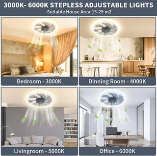 Modern Remote Control Ceiling Fan Light