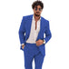 Cobalt Blue 2pcs