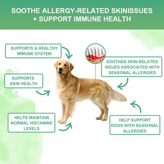 Allergy & Immune Support Chews for Dogs -  Salmon Flavor Soft Chews Dog Allergy Relief, Skin Health, Coat Defense-120 soft chews