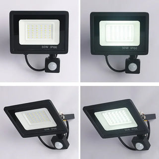 Exterior Hanging Spotlight Wall Lamp