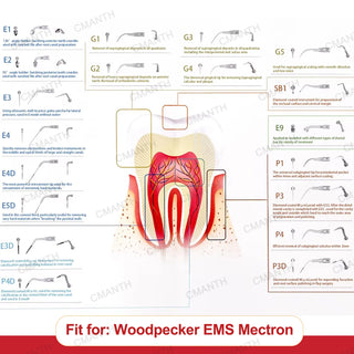 Ultrasonic Scaler Teeth Whitening Tools