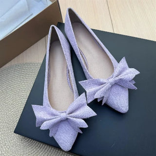 Ladies Pointed Toe Ballet Flat Shoes