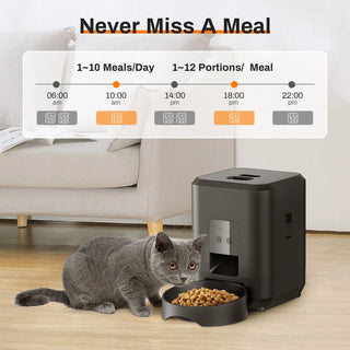 Timely Automatic Pet Feeder - Epictzar Intl.