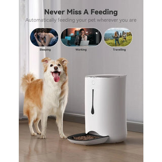 Automatic Portion Control Pet Food Dispenser