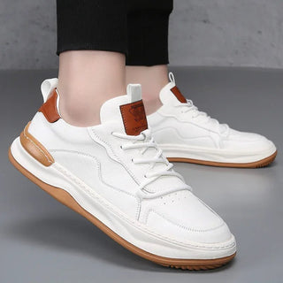 Casual Designer Light Sport Wear Shoes - Epictzar Intl.