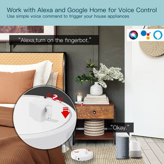 Smart Life App Automatic Voice Control