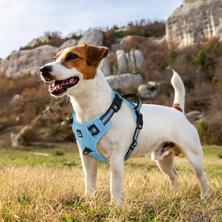 Dog Harness and Leash Combo, Escape Proof No Pull Vest Harness, with 5 Feet Leash, Reflective Adjustable Soft Padded Pet Harness