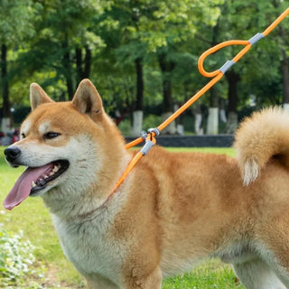 Slip Chains Pet Training Leash