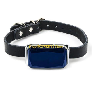 Pet Tractive Activity Gps Monitoring
