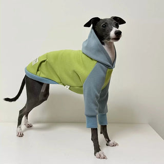 Soft Green Fleece Coat for Huibit Dog Clothes Elastic Spring Autumn Sweatshirt for Bedlington Little Greyhound Hooded Pajamas