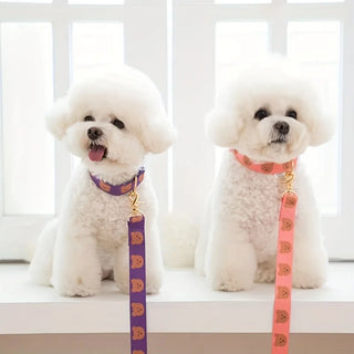 Cute Durable Decoration Pet Leash