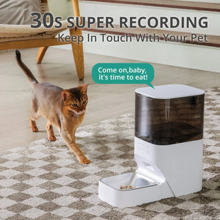 Voice Recorder 4L Programmable Pet Feeder