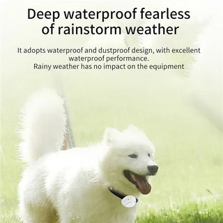 RC GPS Locator Pet Tracker