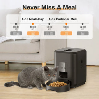 Timely Automatic Pet Feeder - Epictzar Intl.