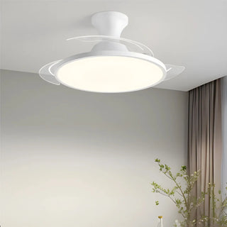 Adjustable Wind Speed Ceiling Fan & LED Light