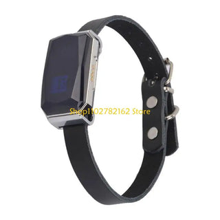 Pet Tractive Activity Gps Monitoring
