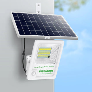 Solar Remote Control Motion Sensor Floodlight
