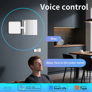 RC Voice Assistant Adjustable Switch