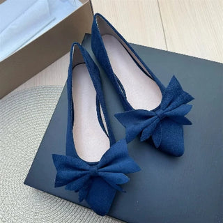 Ladies Pointed Toe Ballet Flat Shoes