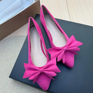 Ladies Pointed Toe Ballet Flat Shoes