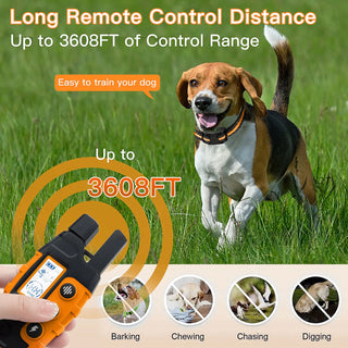 RC Electric Dog Training Collar
