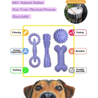 Pets Puppy Teething Chew Toy