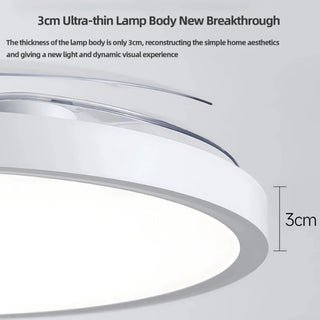 Adjustable Wind Speed Ceiling Fan & LED Light