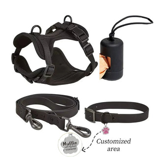 Personalized Pet Leash Pet Harness