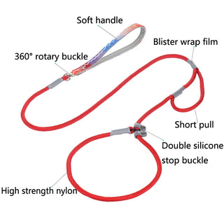 Slip Chains Pet Training Leash