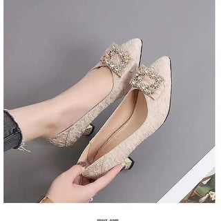 Pointed Toe Mid Heel Shoes
