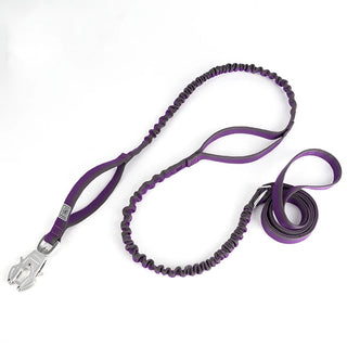 Heavy Duty Multi-function Dog Leash