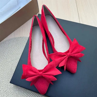 Ladies Pointed Toe Ballet Flat Shoes