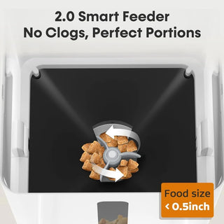 Automatic Easy Setup Pet Food Dispenser