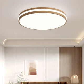 Dimmable Nordic LED Circular Ceiling Lamp