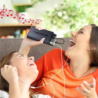 Portable Bass Boost HiFi Amplifier
