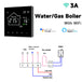 WiFi Water Gas Boiler